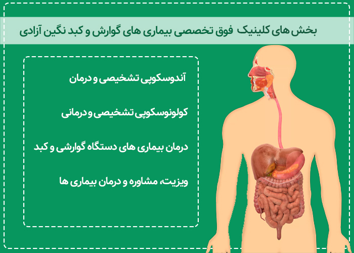 بخش های مختلف کلینیک گوارش نگین آزادی